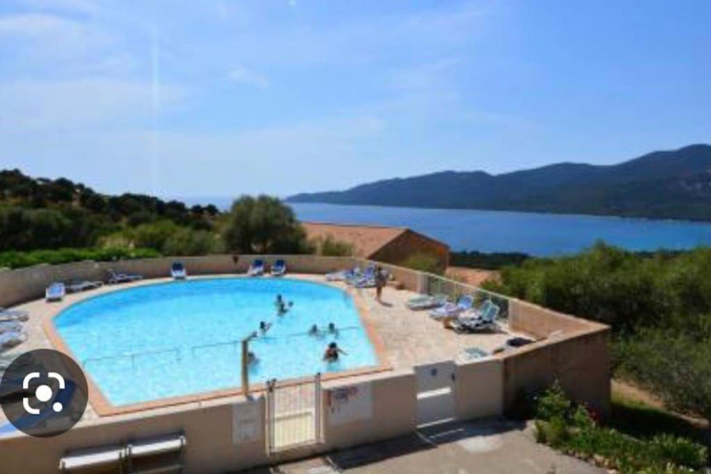 Appartement T2 Avec Piscine Aux Portes De La Plage De Cupabia Serra-di-Ferro  Eksteriør bilde