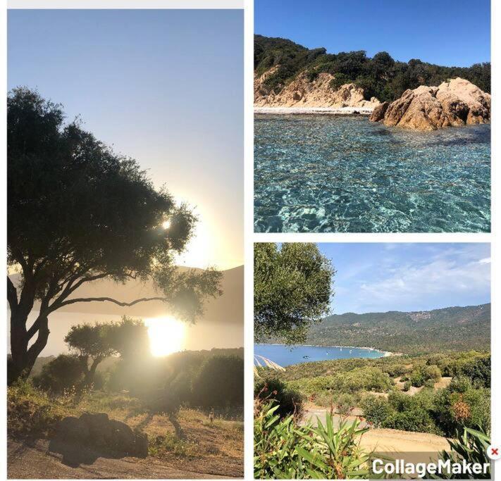 Appartement T2 Avec Piscine Aux Portes De La Plage De Cupabia Serra-di-Ferro  Eksteriør bilde