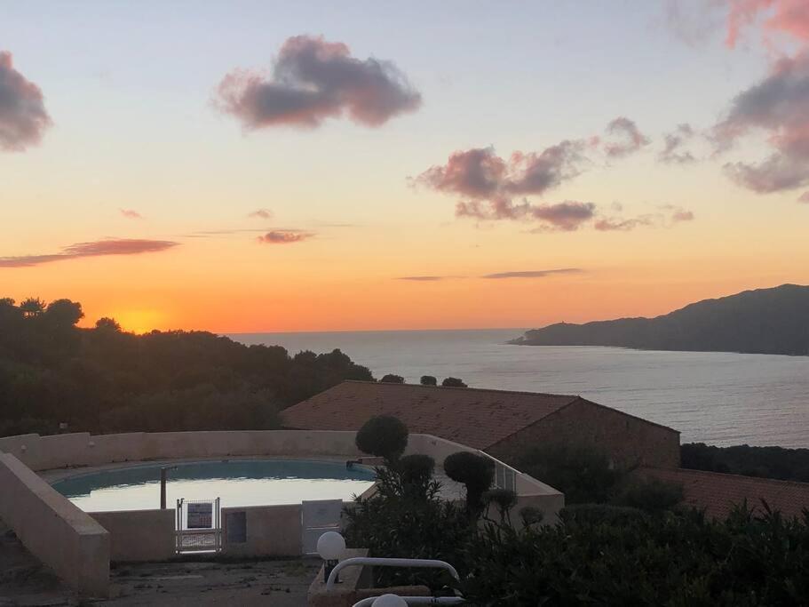 Appartement T2 Avec Piscine Aux Portes De La Plage De Cupabia Serra-di-Ferro  Eksteriør bilde