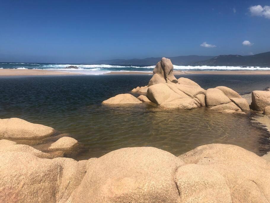 Appartement T2 Avec Piscine Aux Portes De La Plage De Cupabia Serra-di-Ferro  Eksteriør bilde