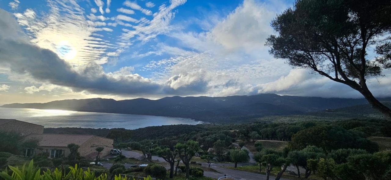 Appartement T2 Avec Piscine Aux Portes De La Plage De Cupabia Serra-di-Ferro  Eksteriør bilde